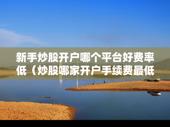 新手炒股开户哪个平台好费率低（炒股哪家开户手续费最低）
