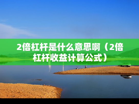 2倍杠杆是什么意思啊（2倍杠杆收益计算公式）