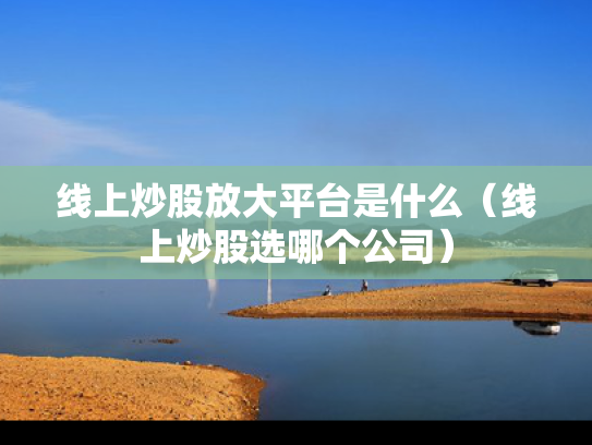线上炒股放大平台是什么（线上炒股选哪个公司）