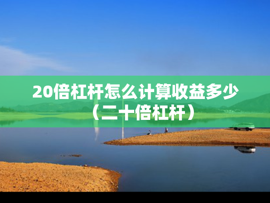 20倍杠杆怎么计算收益多少（二十倍杠杆）