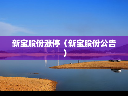 新宝股份涨停（新宝股份公告）