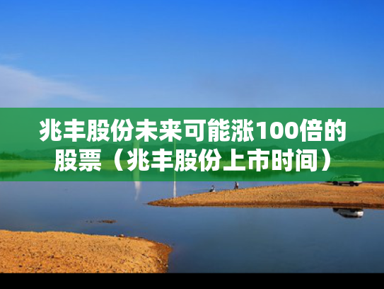 兆丰股份未来可能涨100倍的股票（兆丰股份上市时间）