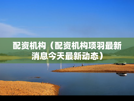 配资机构（配资机构项羽最新消息今天最新动态）