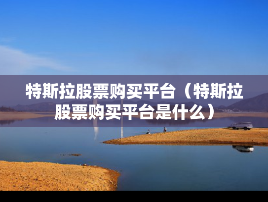 特斯拉股票购买平台（特斯拉股票购买平台是什么）