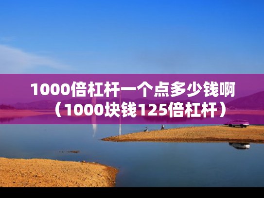 1000倍杠杆一个点多少钱啊（1000块钱125倍杠杆）