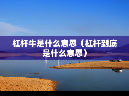 杠杆牛是什么意思（杠杆到底是什么意思）