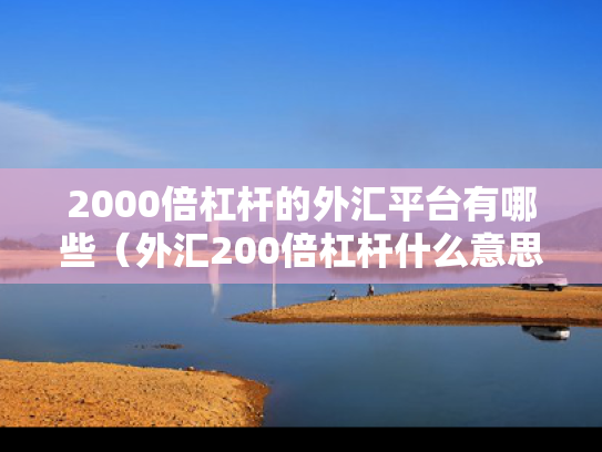 2000倍杠杆的外汇平台有哪些（外汇200倍杠杆什么意思）