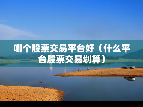 哪个股票交易平台好（什么平台股票交易划算）