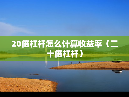 20倍杠杆怎么计算收益率（二十倍杠杆）