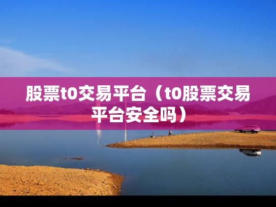 股票t0交易平台（t0股票交易平台安全吗）