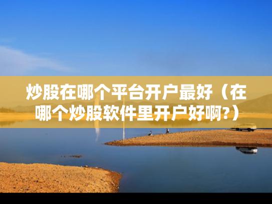 炒股在哪个平台开户最好（在哪个炒股软件里开户好啊?）