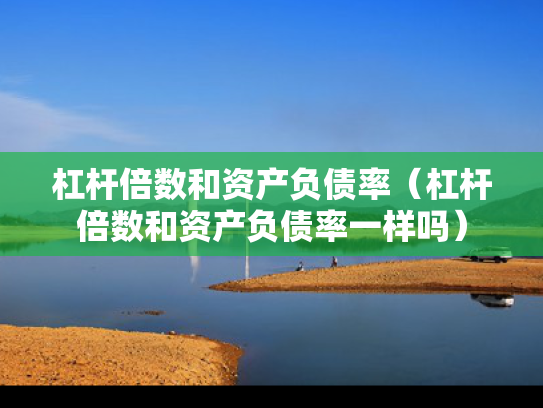杠杆倍数和资产负债率（杠杆倍数和资产负债率一样吗）