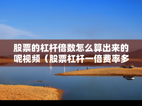 股票的杠杆倍数怎么算出来的呢视频（股票杠杆一倍费率多少）