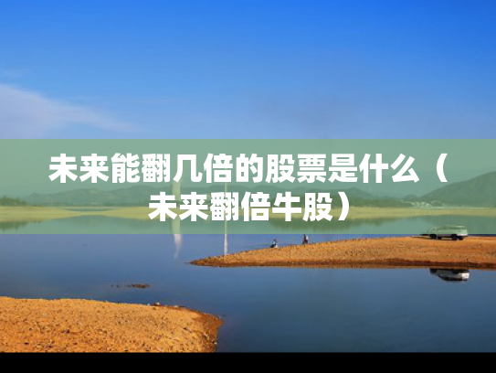 未来能翻几倍的股票是什么（未来翻倍牛股）