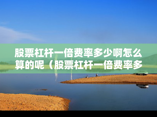 股票杠杆一倍费率多少啊怎么算的呢（股票杠杆一倍费率多少啊怎么算的呢视频）