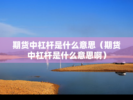 期货中杠杆是什么意思（期货中杠杆是什么意思啊）