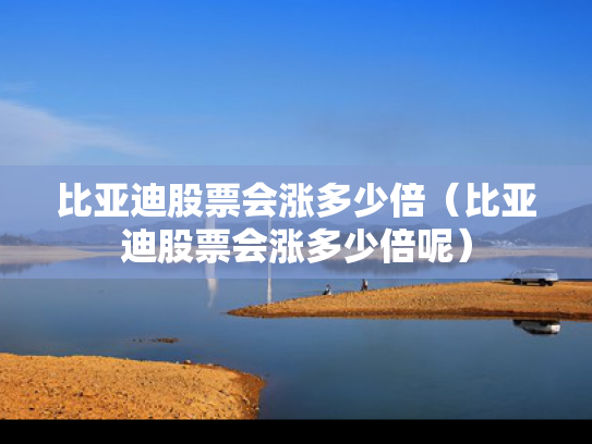 比亚迪股票会涨多少倍（比亚迪股票会涨多少倍呢）