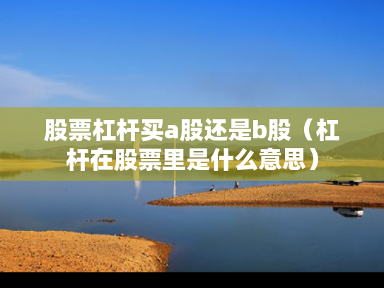 股票杠杆买a股还是b股（杠杆在股票里是什么意思）