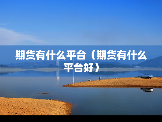 期货有什么平台（期货有什么平台好）