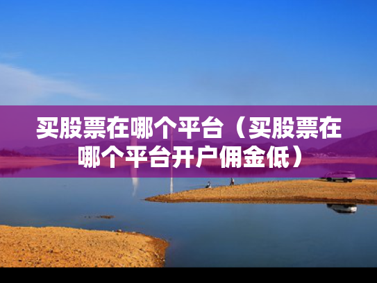 买股票在哪个平台（买股票在哪个平台开户佣金低）
