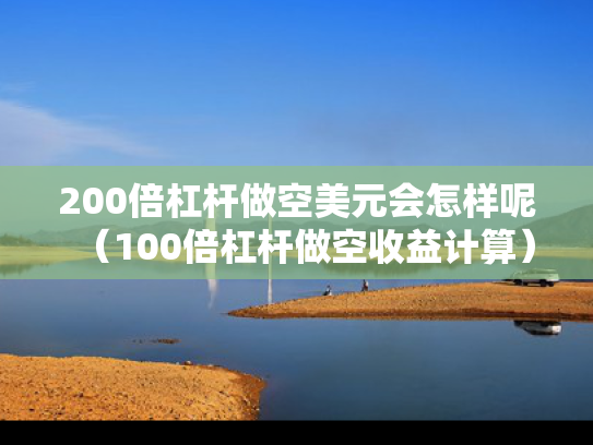 200倍杠杆做空美元会怎样呢（100倍杠杆做空收益计算）