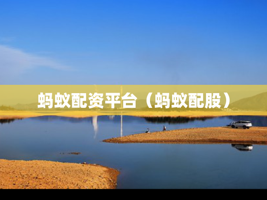 蚂蚁配资平台（蚂蚁配股）