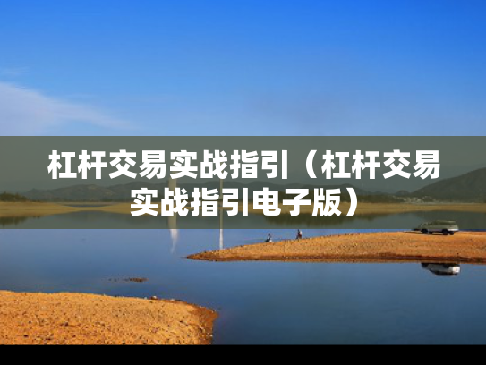 杠杆交易实战指引（杠杆交易实战指引电子版）