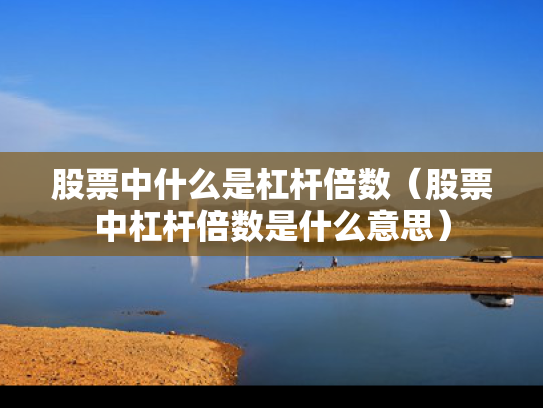 股票中什么是杠杆倍数（股票中杠杆倍数是什么意思）