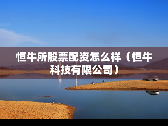 恒牛所股票配资怎么样（恒牛科技有限公司）