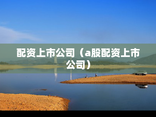 配资上市公司（a股配资上市公司）
