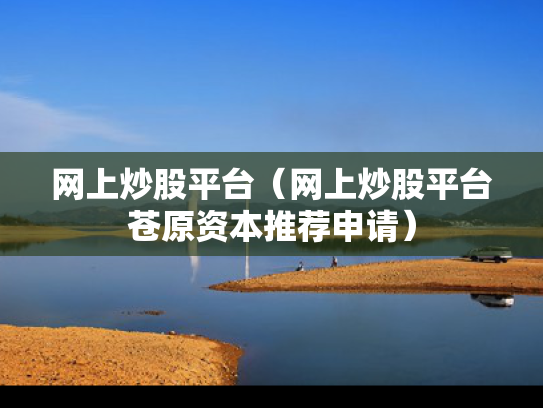 网上炒股平台（网上炒股平台苍原资本推荐申请）
