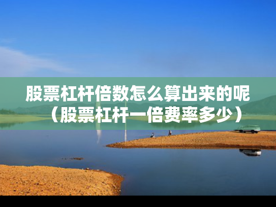 股票杠杆倍数怎么算出来的呢（股票杠杆一倍费率多少）