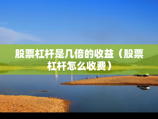 股票杠杆是几倍的收益（股票杠杆怎么收费）