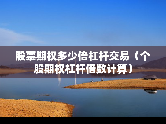 股票期权多少倍杠杆交易（个股期权杠杆倍数计算）