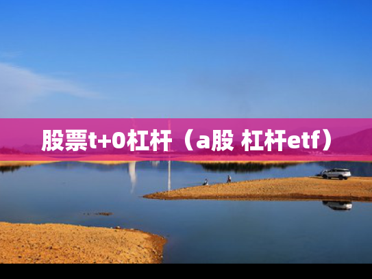 股票t+0杠杆（a股 杠杆etf）