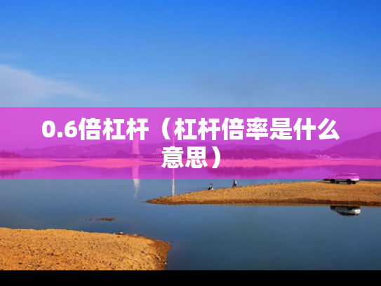 0.6倍杠杆（杠杆倍率是什么意思）
