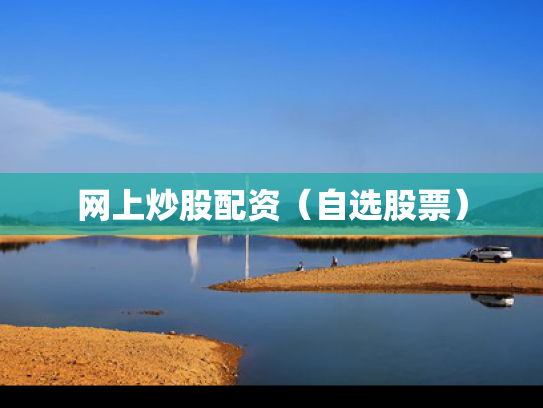 网上炒股配资（自选股票）