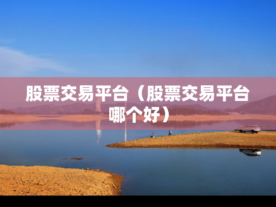 股票交易平台（股票交易平台哪个好）