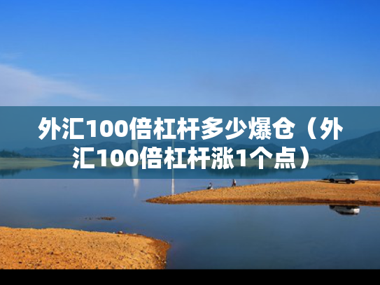 外汇100倍杠杆多少爆仓（外汇100倍杠杆涨1个点）