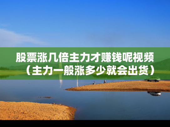 股票涨几倍主力才赚钱呢视频（主力一般涨多少就会出货）