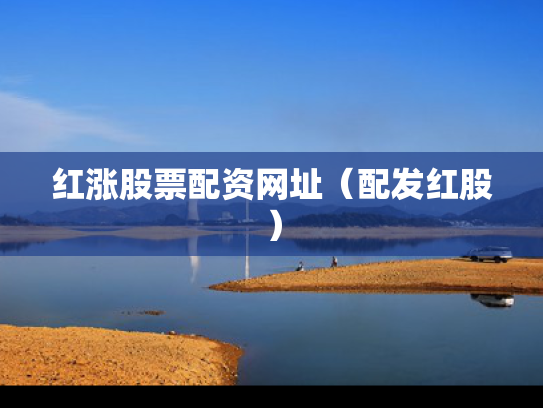 红涨股票配资网址（配发红股）