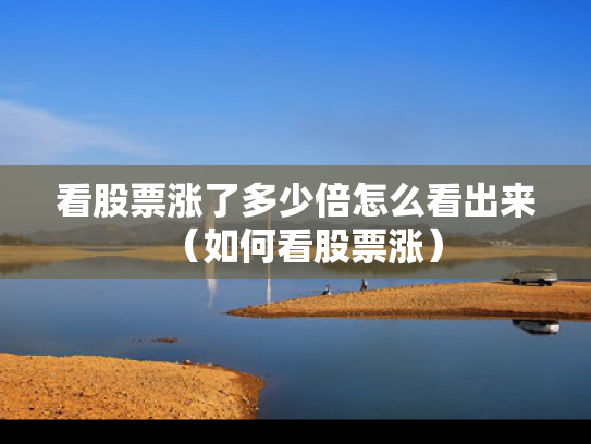 看股票涨了多少倍怎么看出来（如何看股票涨）