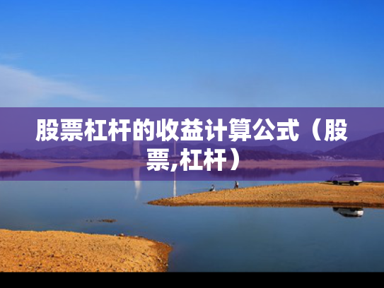 股票杠杆的收益计算公式（股票,杠杆）