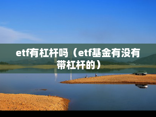 etf有杠杆吗（etf基金有没有带杠杆的）
