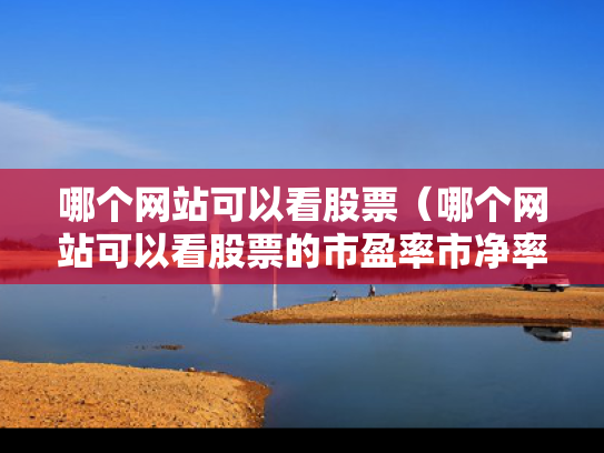哪个网站可以看股票（哪个网站可以看股票的市盈率市净率和股息率）