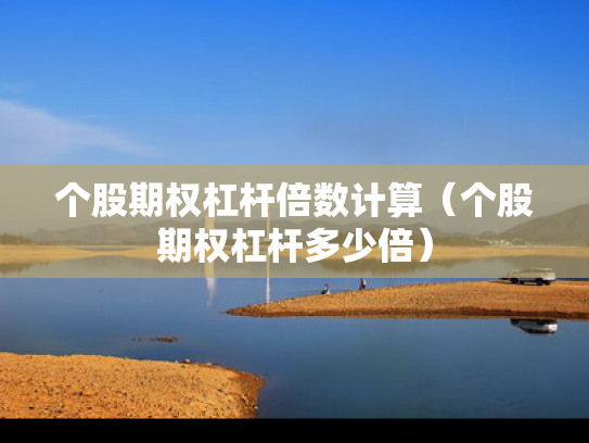 个股期权杠杆倍数计算（个股期权杠杆多少倍）