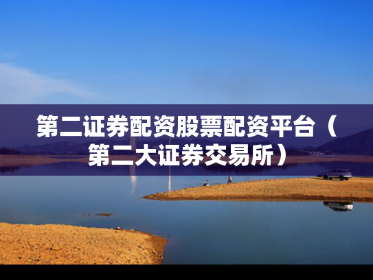 第二证券配资股票配资平台（第二大证券交易所）