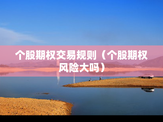 个股期权交易规则（个股期权风险大吗）