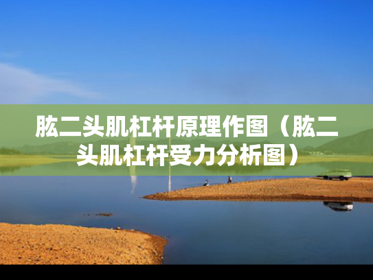 肱二头肌杠杆原理作图（肱二头肌杠杆受力分析图）