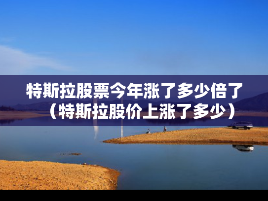 特斯拉股票今年涨了多少倍了（特斯拉股价上涨了多少）